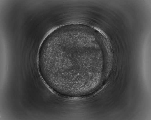 X0000084560894200703231756