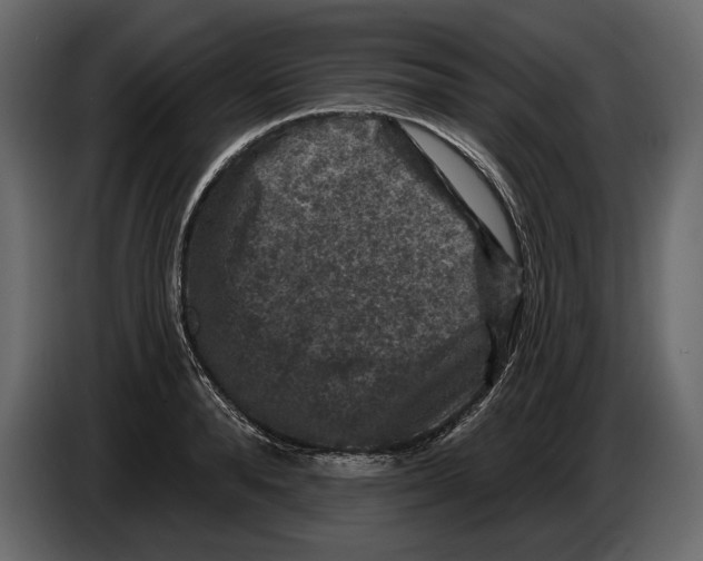 X0000084560896200703231756