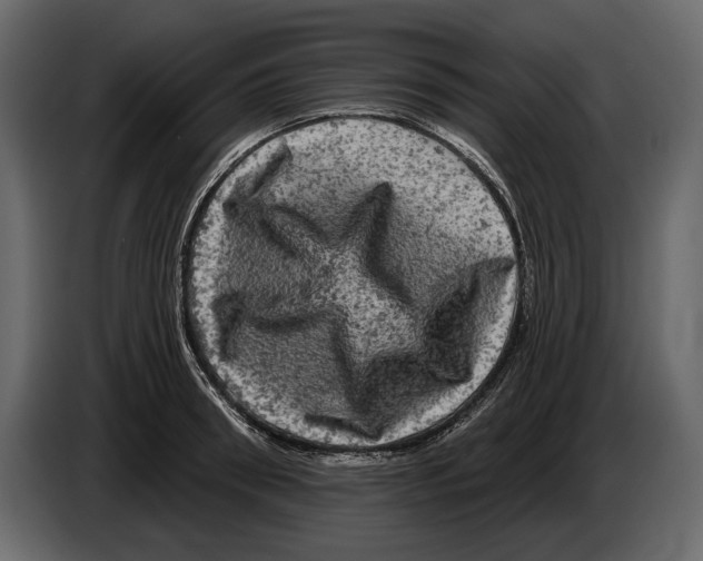 X0000084560898200703231756