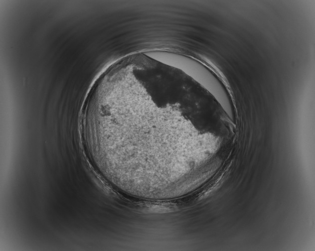 X0000084560899200703231756