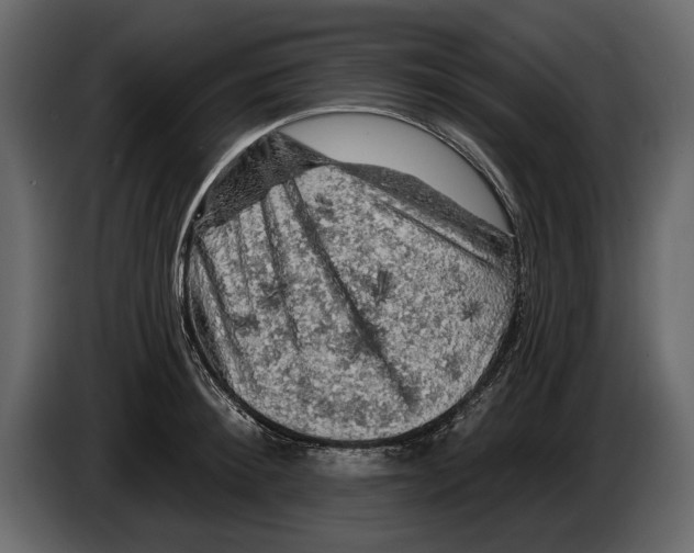 X0000084560900200703231756