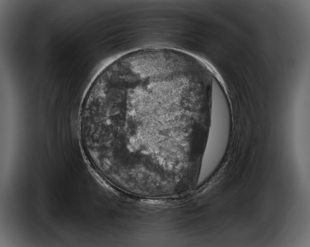 X0000084560903200703231756