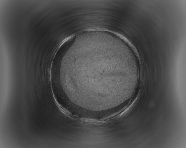 X0000084560905200703231756