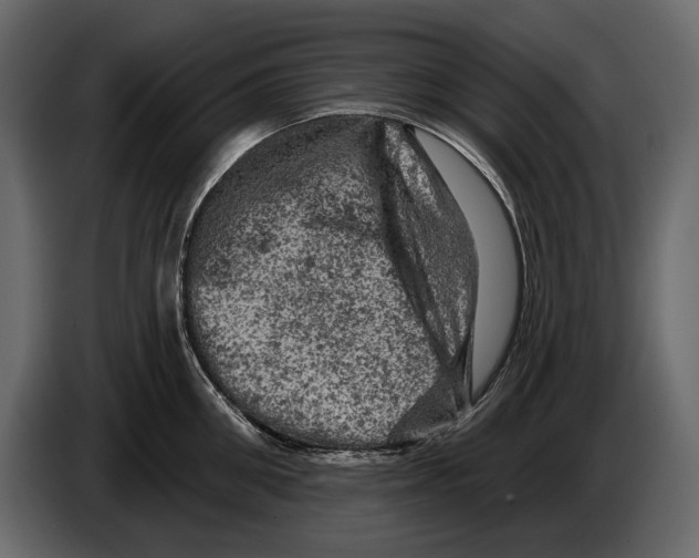 X0000084560906200703231756