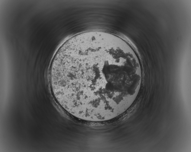 X0000084560907200703231756