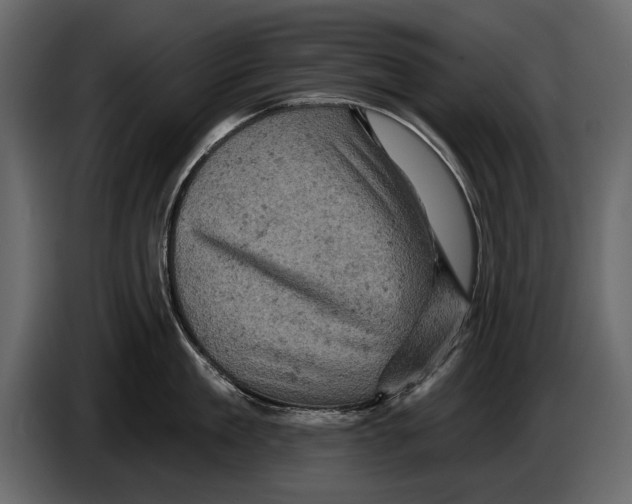 X0000084560909200703231756