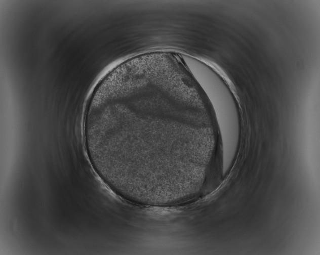 X0000084560910200703231756