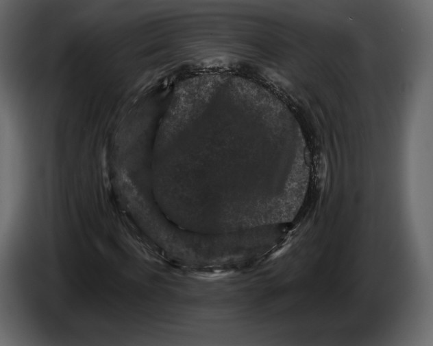 X0000084560916200703231755