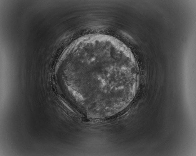 X0000084560917200703231755