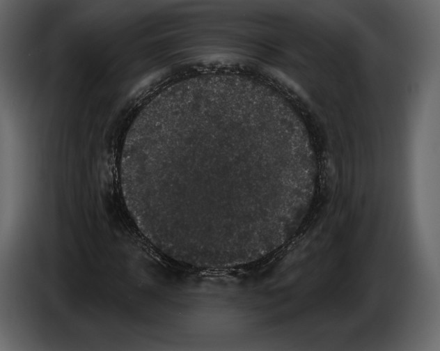 X0000084560918200703231755