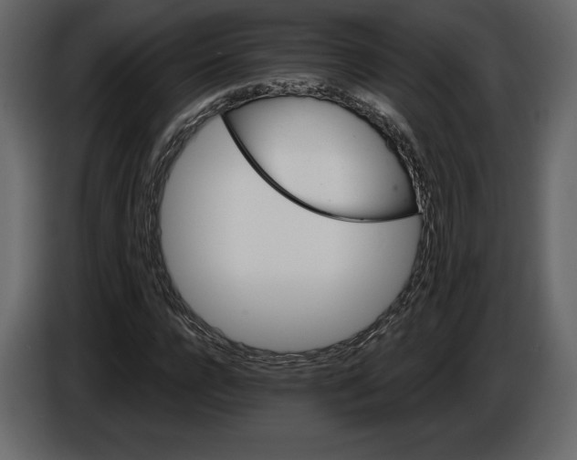 X0000084560920200703231755