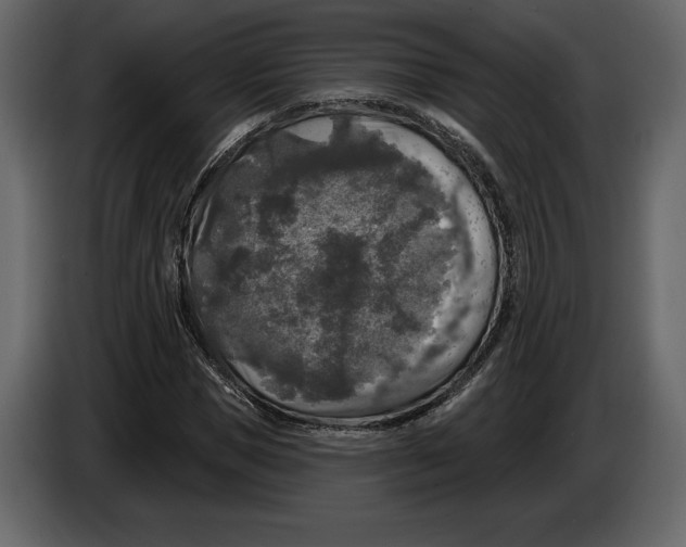 X0000084560921200703231755