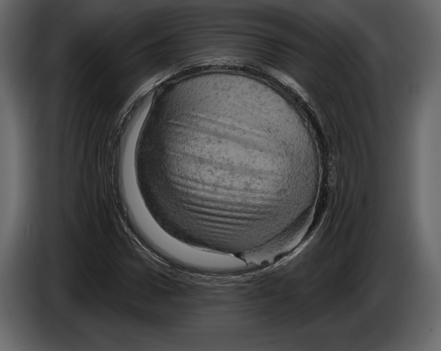 X0000084560922200703231755