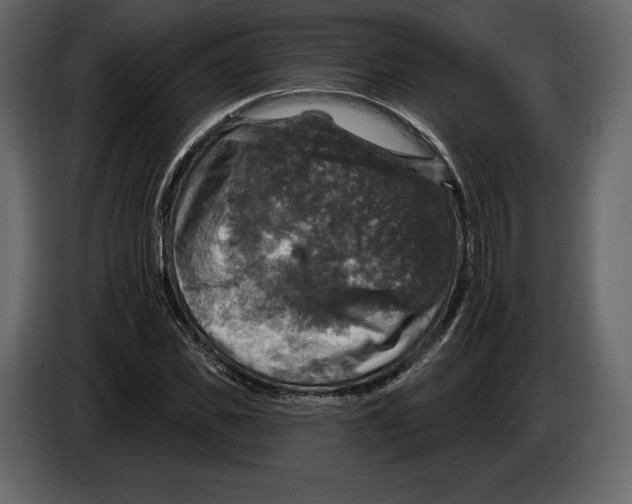 X0000084560925200703231755