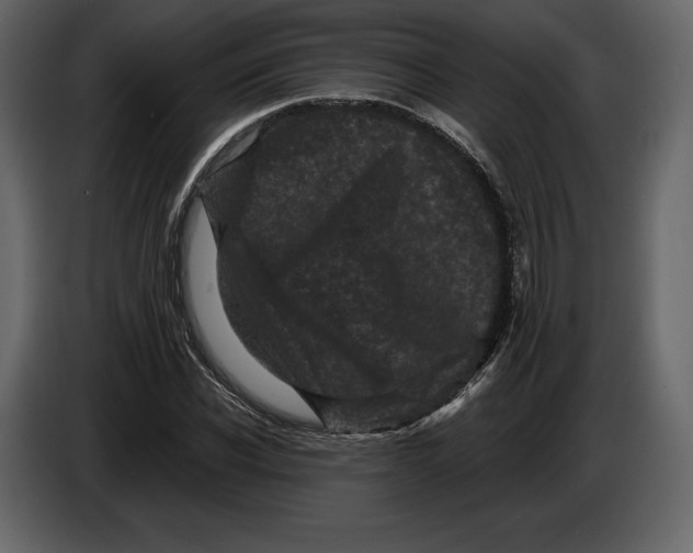 X0000084560926200703231755