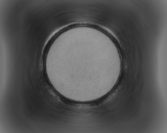 X0000084560927200703231755