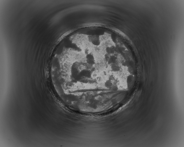 X0000084560929200703231755