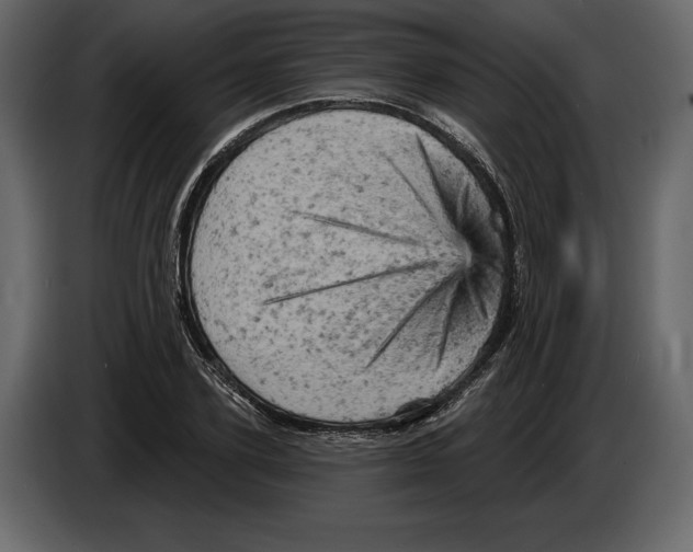 X0000084560931200703231755