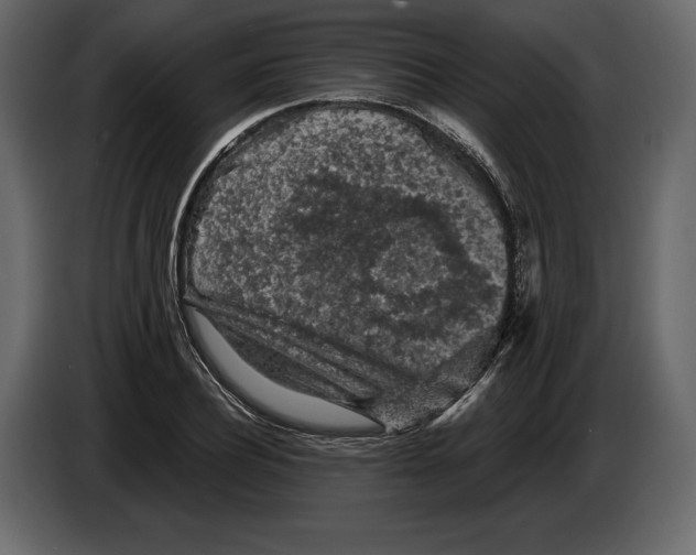 X0000084560932200703231755