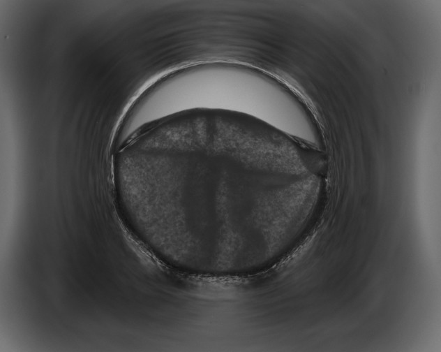 X0000084560934200703231755