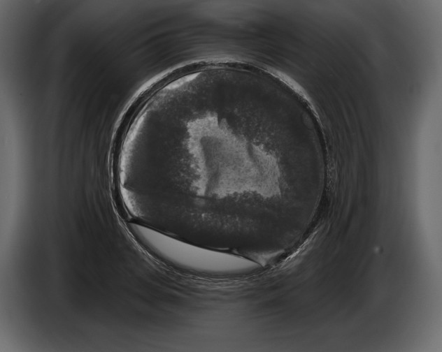 X0000084560935200703231755