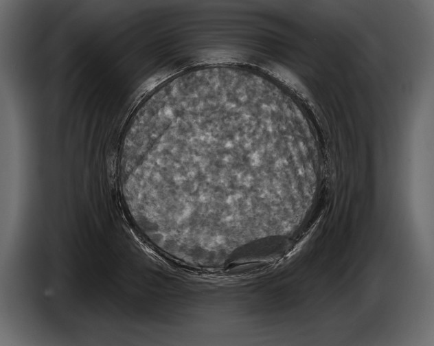 X0000084560937200703231755