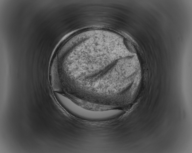 X0000084560940200703231755