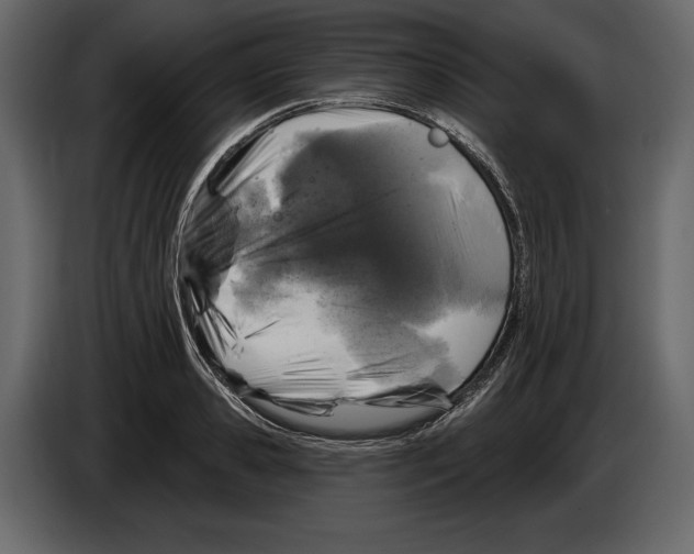 X0000084560941200703231755