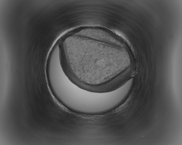 X0000084560942200703231755