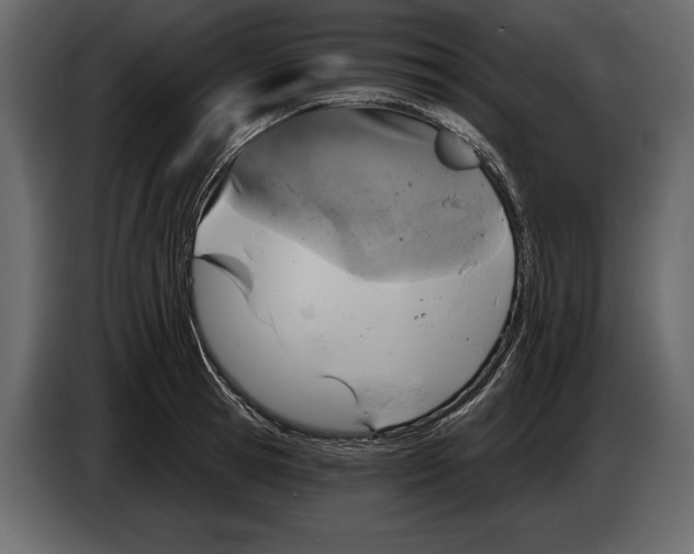 X0000084560945200703231755