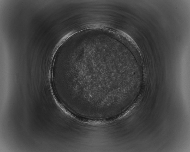 X0000084560946200703231755