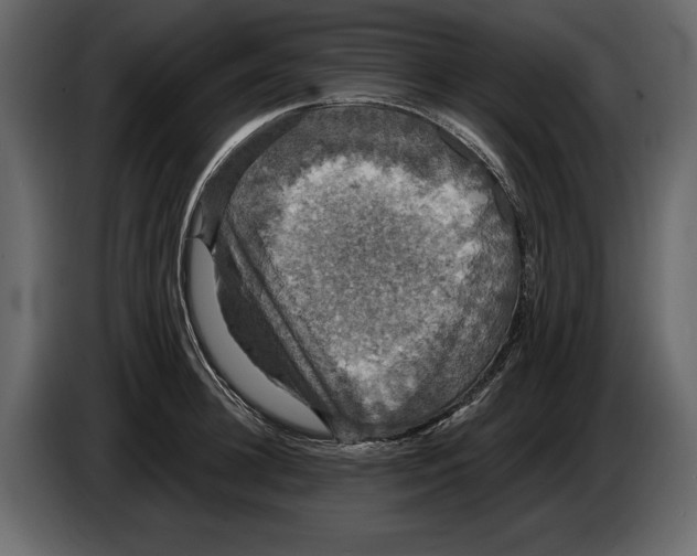 X0000084560948200703231755