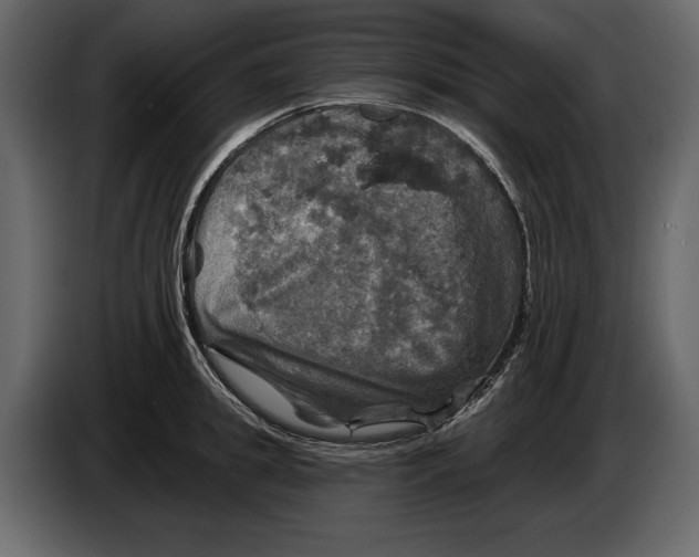 X0000084560949200703231755