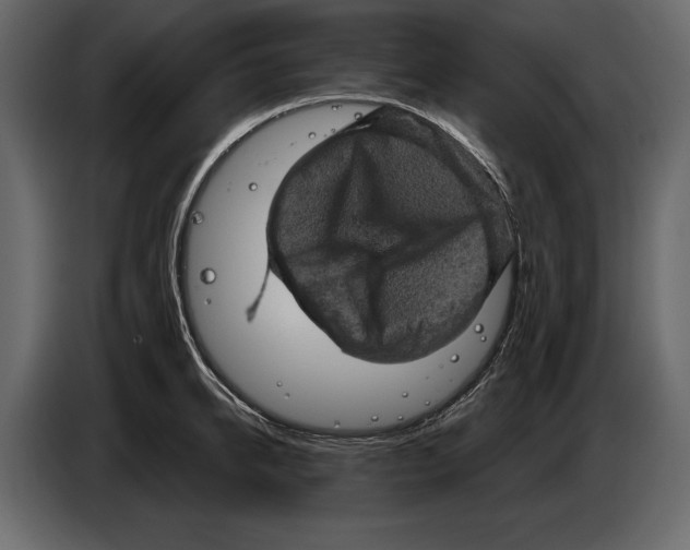 X0000084560950200703231755