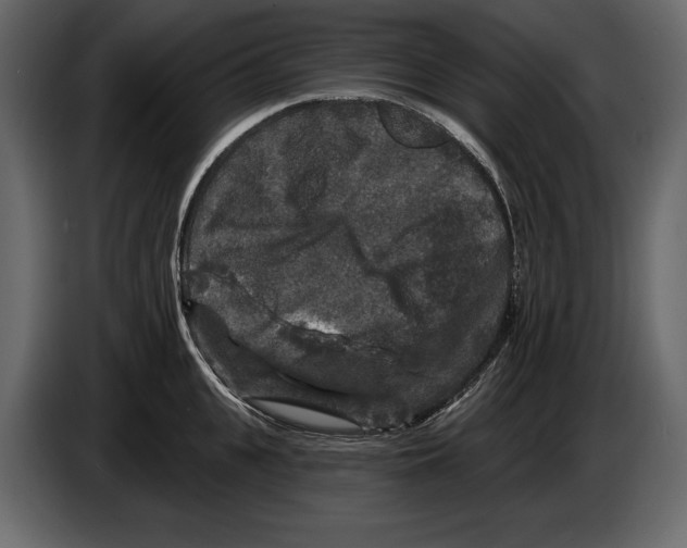 X0000084560951200703231755