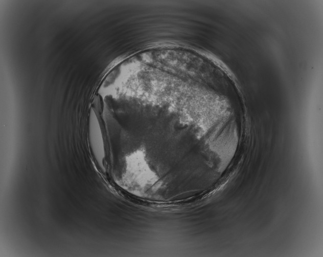 X0000084560953200703231756