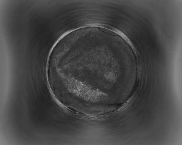 X0000084560955200703231756