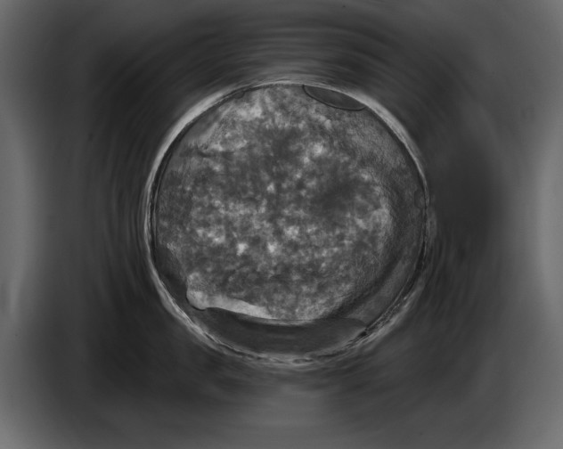 X0000084560957200703231756