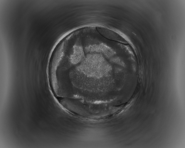 X0000084560959200703231756