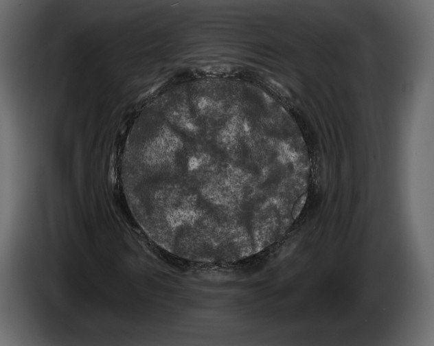 X0000084560962200703231755