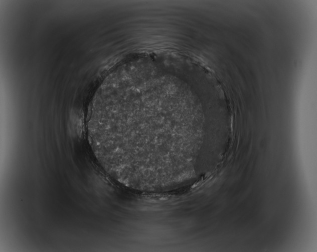 X0000084560963200703231755