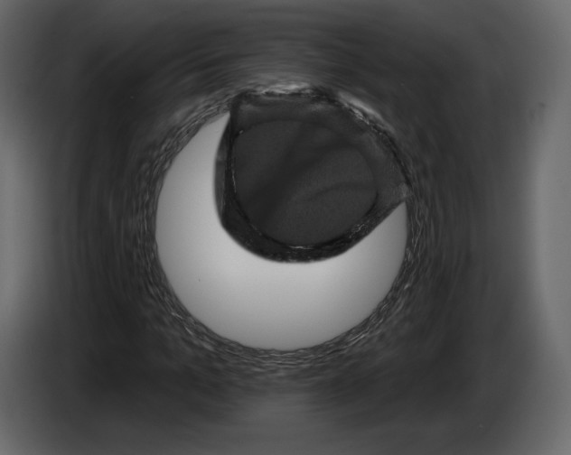 X0000084560965200703231755