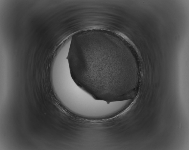 X0000084560969200703231755