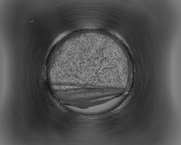 X0000084560970200703231755