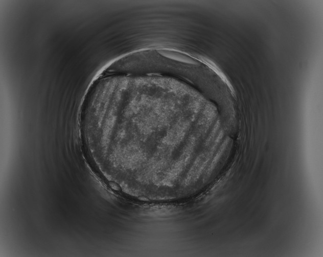 X0000084560972200703231755