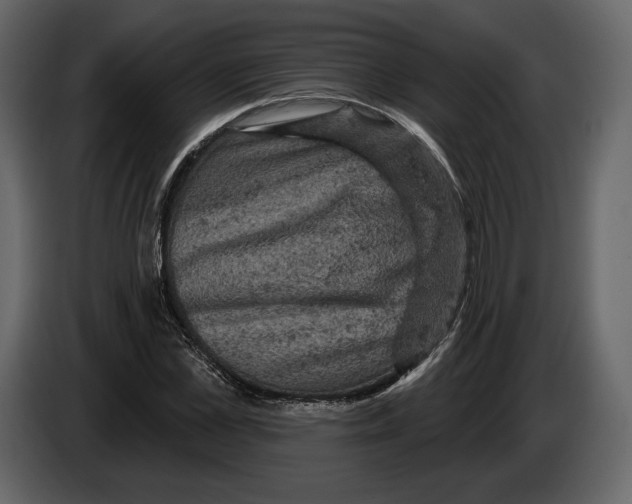 X0000084560973200703231755