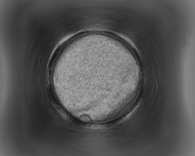 X0000084560974200703231755