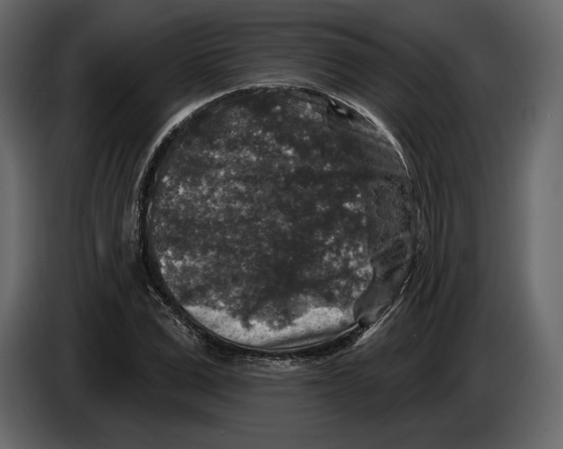 X0000084560975200703231755