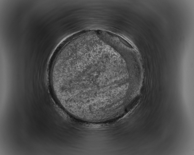 X0000084560976200703231755