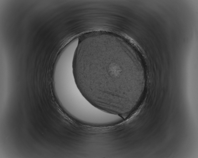 X0000084560977200703231755